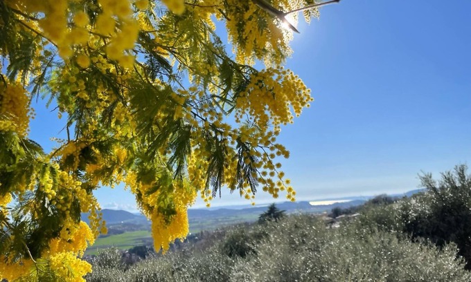 Bardolino Apartamento | Dimora Borgo Gaon - Casa Elios