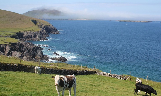 Dingle Casa | Dingle Courtyard Cottages (3 Bed - Sleeps 6)