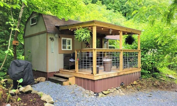 Flag Pond Cabina | DIRECT STREAM FRONT Mountain Tiny Home