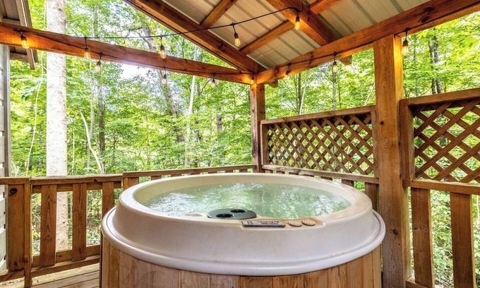 Townsend Cabina | Fall Savings! Fast Wi-Fi! Dog Friendly!