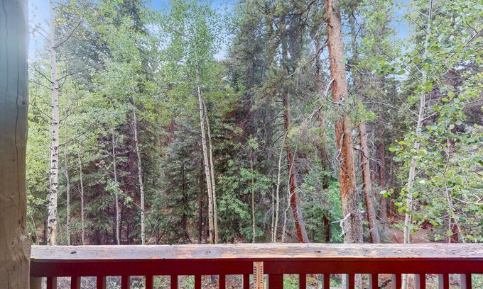 Keystone Condominio | Dog-Friendly Keystone Condo w/Shared Pool & Hot Tub - Near River Run & Downtown