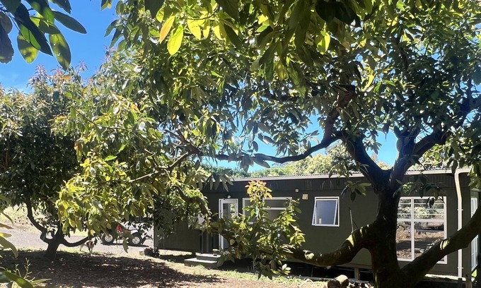 Aongatete Cabina | Dog friendly, rural, close to beaches, cafes, bush walks and golf courses