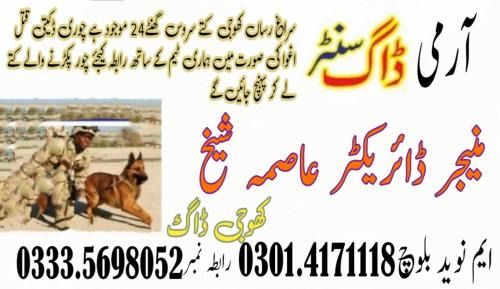 Jhang Sadar Apartamento | Dog walker
