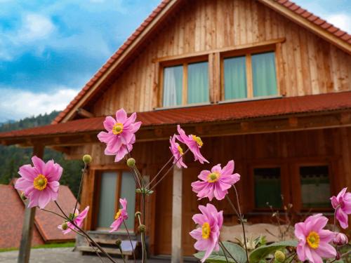 Comeglians Complejo | Dolomiti Village