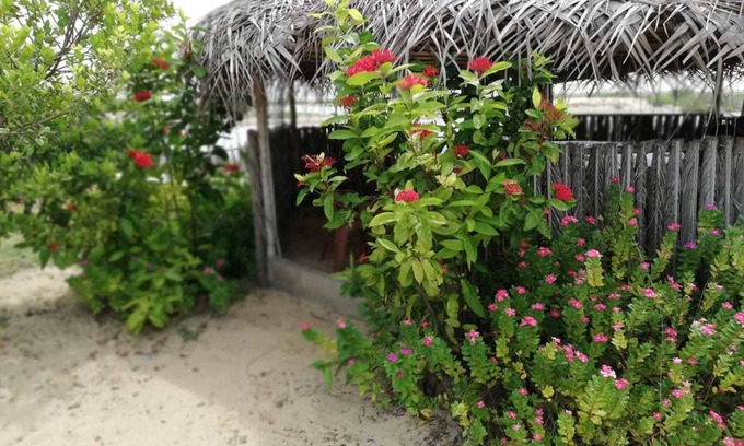 Kandakuliya Casa | dolphin wadiya