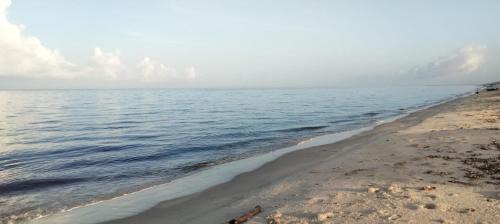 Cherthala Cama Y Desayuno | Dolphins Turf