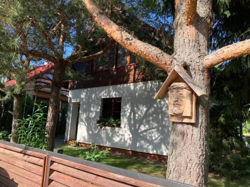 Gizycko Casa | Dom nad jeziorem Tajty