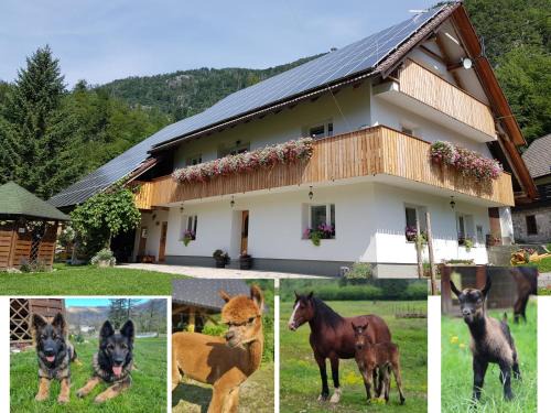 Bohinj Apartamento | Domačija Loncnar