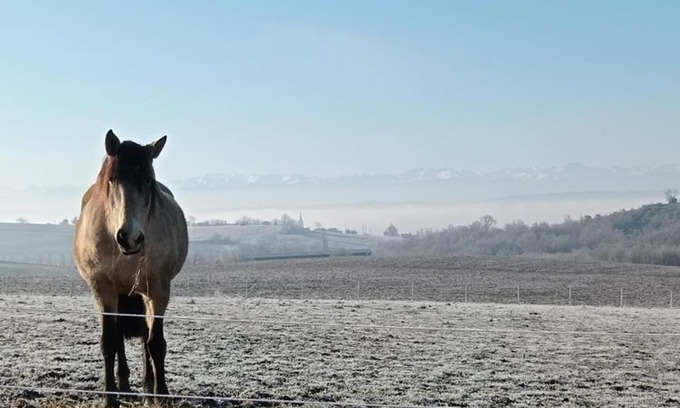 Cintegabelle Casa | Domaine de buffevent