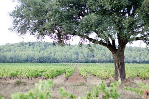 La Crau Casa | Domaine De Sigalous