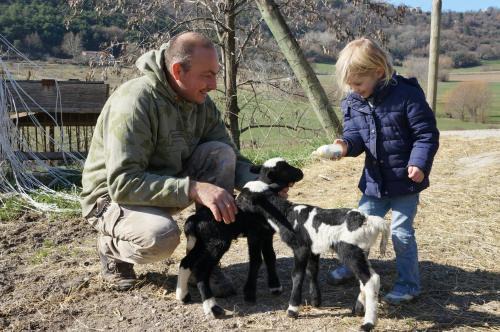 Forcalquier Casa | Domaine du Bas Chalus
