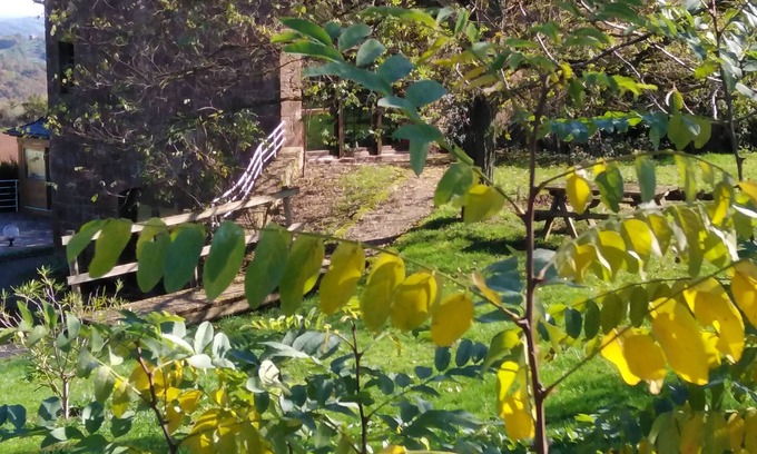 Saint-Cyprien-sur-Dourdou Cama Y Desayuno | Domaine du Mas Naut