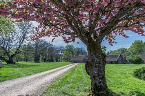 Brinon-sur-Sauldre Casa | Domaine les Muids - Piscine et forêt privés proche de Paris
