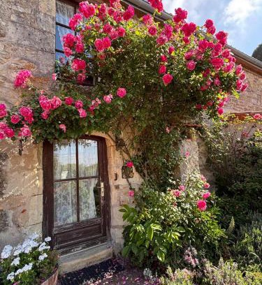 Doue-en-Anjou Casa | Domaine les roses du vieux chai