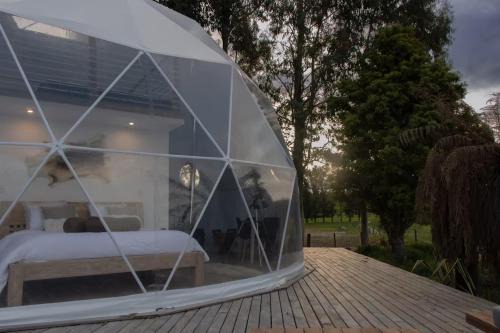 Rotorua District Otro | DomeHome