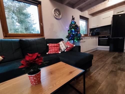 Swornegacie Chalet De Esquí | Domek Sworne Zacisze