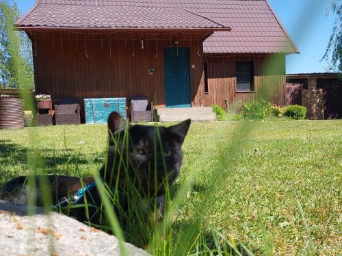 gmina Michałowo Casa | Domek w ptasim raju