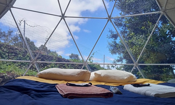 Angra do Heroismo Casa | Domes Criptoméria - Angra do Heroísmo - Azores