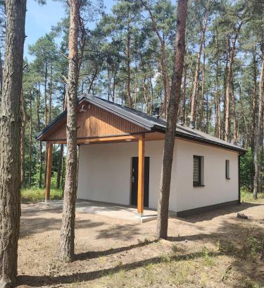 Skulsk Casa | Domki Tawerna Skulsk