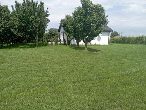 gmina Cmielow Casa | Domki w Winnicy - Świętokrzyska Winnica Knapów