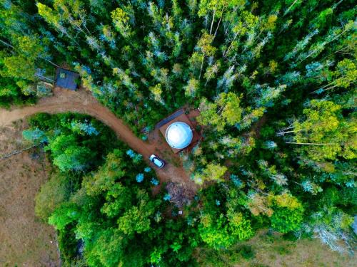 Araucania Region Otro | Domo con opcion a tinaja en medio del bosque