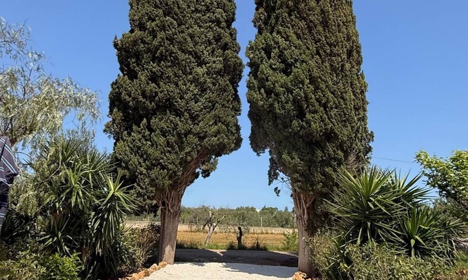 Polignano a Mare Casa | Don Pedro Relaxation in the countryside of Polignano a Mare
