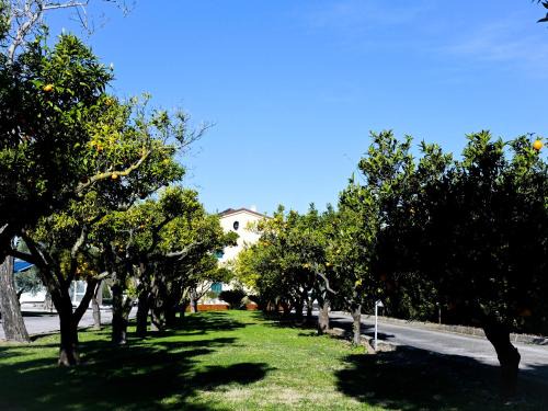 Capua Cama Y Desayuno | DON PEPPE ROOMS : Villaggio Green
