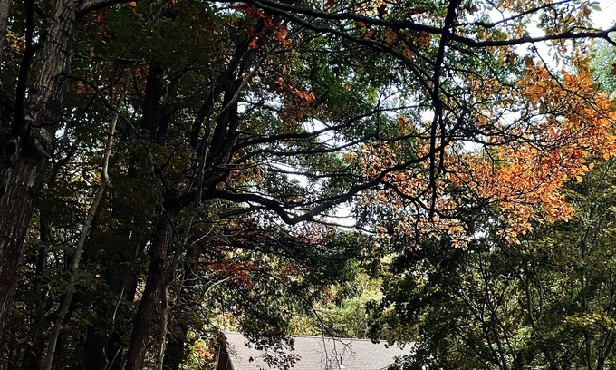 Albrightsville Cabina | Donan House - Escape To The Mountains!