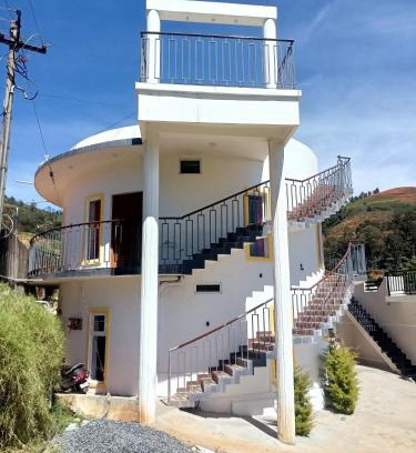 Wellington Casa | Dopamine Seeds