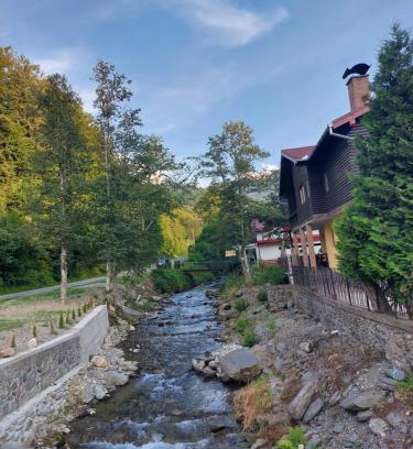 Cartisoara Casa | Dor de Munte Transfăgarasan