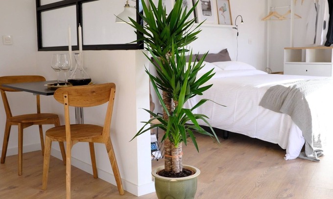 Vegueta Apartamento | Apartamento Doble con vistas a la ciudad