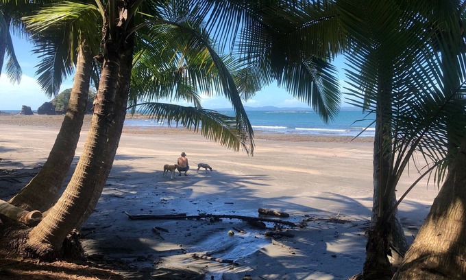 Torio Casa | Double room with partial ocean view balcony | Beachfront Boutique Hotel & Pool