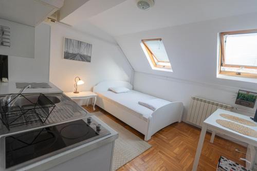 Dorcol Apartamento | Downtown nest