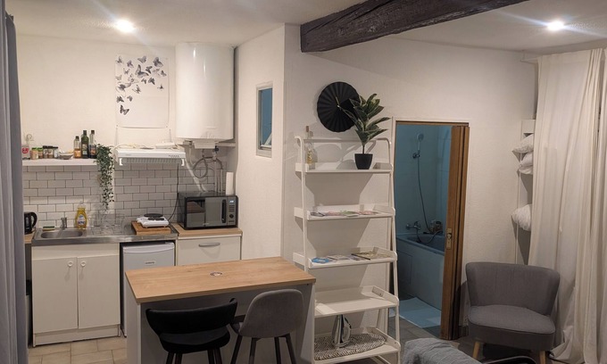 Saint-Michel Apartamento | Downtown studio with private patio