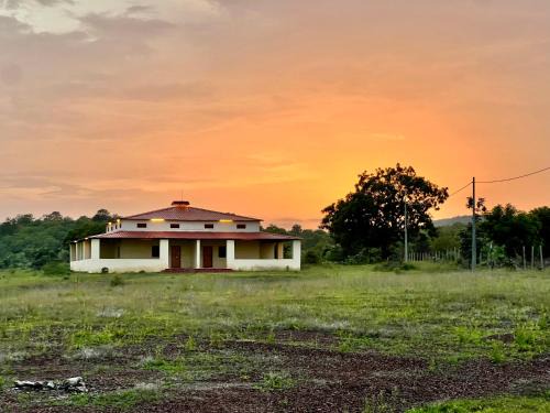 Pandharkawada Cabina | Dr Bones jungle home Tipeshwar wildlife sanctuary