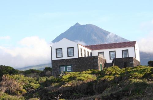 Madalena Casa | Dream By The Sea