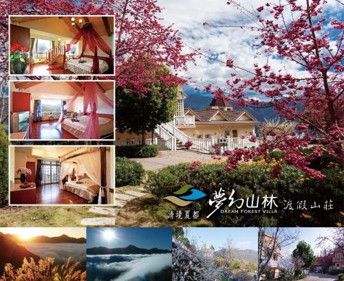 Ren'ai Casa | Dream Forest Villa