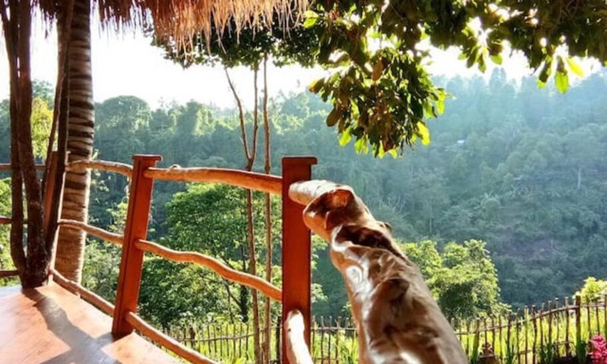 Sukasada Casa | Dreamy Eco Tree House by 7 Waterfalls