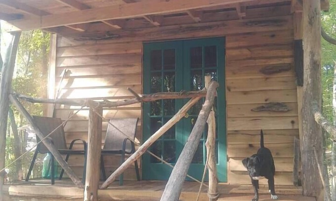 Ozone Cabina | Driftwood Treehouse Cabin w/AC, Peaceful & Cozy!