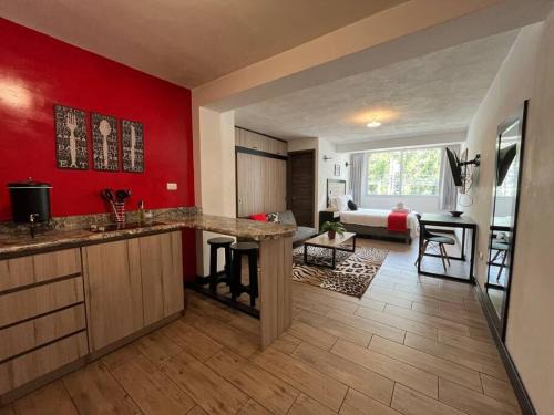 Zona 15 Apartamento | DST1 Convenient studio in zone 15