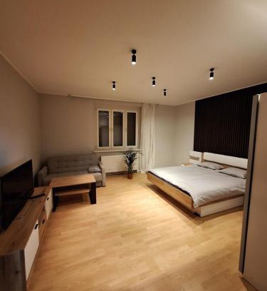 Chorzow Batory Apartamento | DTŚ Apartments