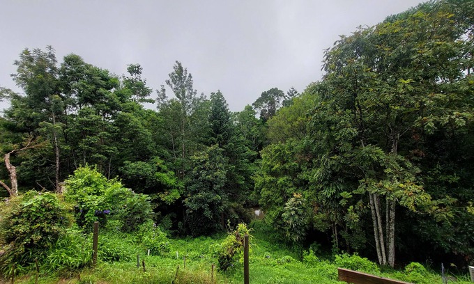 Maleny Cabaña | Duckbills Cottage has the convenience of town living but with rural nature feel
