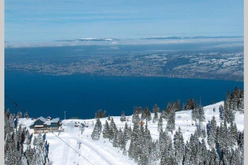 Thollon-les-Memises Apartamento | Duplex en station vue sur lac Leman
