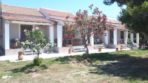 Notos Apartamento | E & K Sea View Apartments Urlaub mit Ausblick Entspannung direkt am Meer