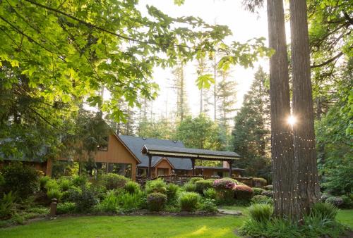 Vida Cabina | Eagle Rock Lodge