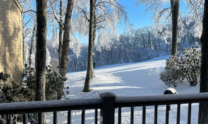 Wintergreen Condominio | Eagles Court Ski In/Ski Out Condo with Walkable Location & Mountain Views!