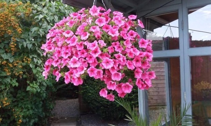 North Ferriby Cama Y Desayuno | Eastdale Bed and Breakfast