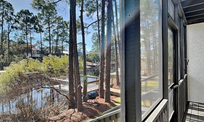 Seagrove Beach Casa | Easy on Eastern Lake | Pet Friendly Luxury Townhome