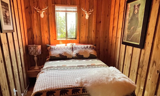 Six Mile Condominio | Easy Tiger Cabin at Lake Keowee, near Clemson, SC