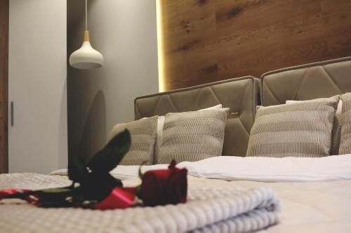 Novi Pazar Apartamento | Ecco Superior